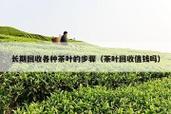 茶叶制作汽车知识网茶都网茶叶知识网茶都友情链接中国最贵的茶叶排名